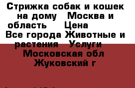 Стрижка собак и кошек на дому.  Москва и область.  › Цена ­ 1 200 - Все города Животные и растения » Услуги   . Московская обл.,Жуковский г.